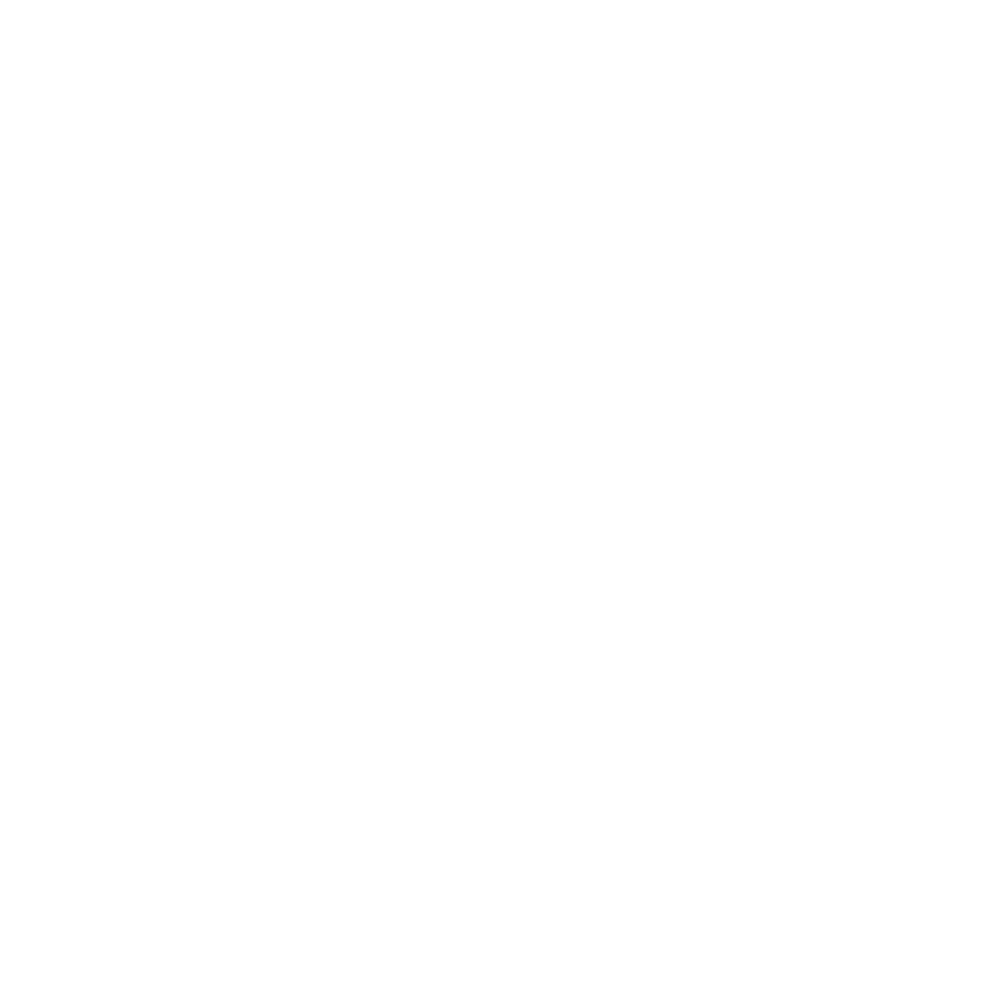 Wild Scapes travel vlog branding